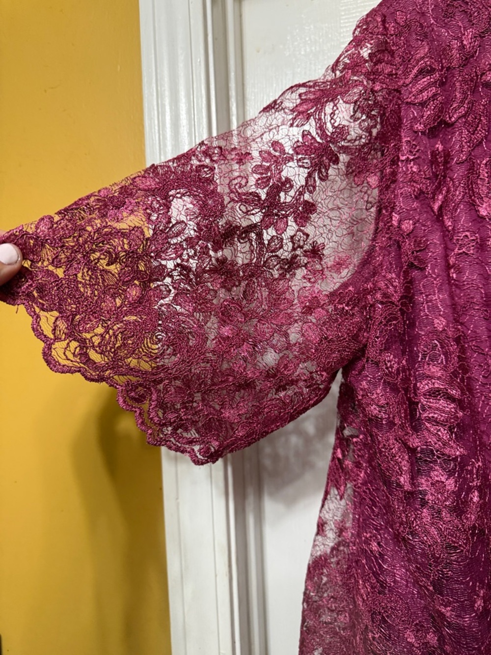 Elegant Lace Overlay Chiffon Dress in Deep Berry - Picture 11 of 11